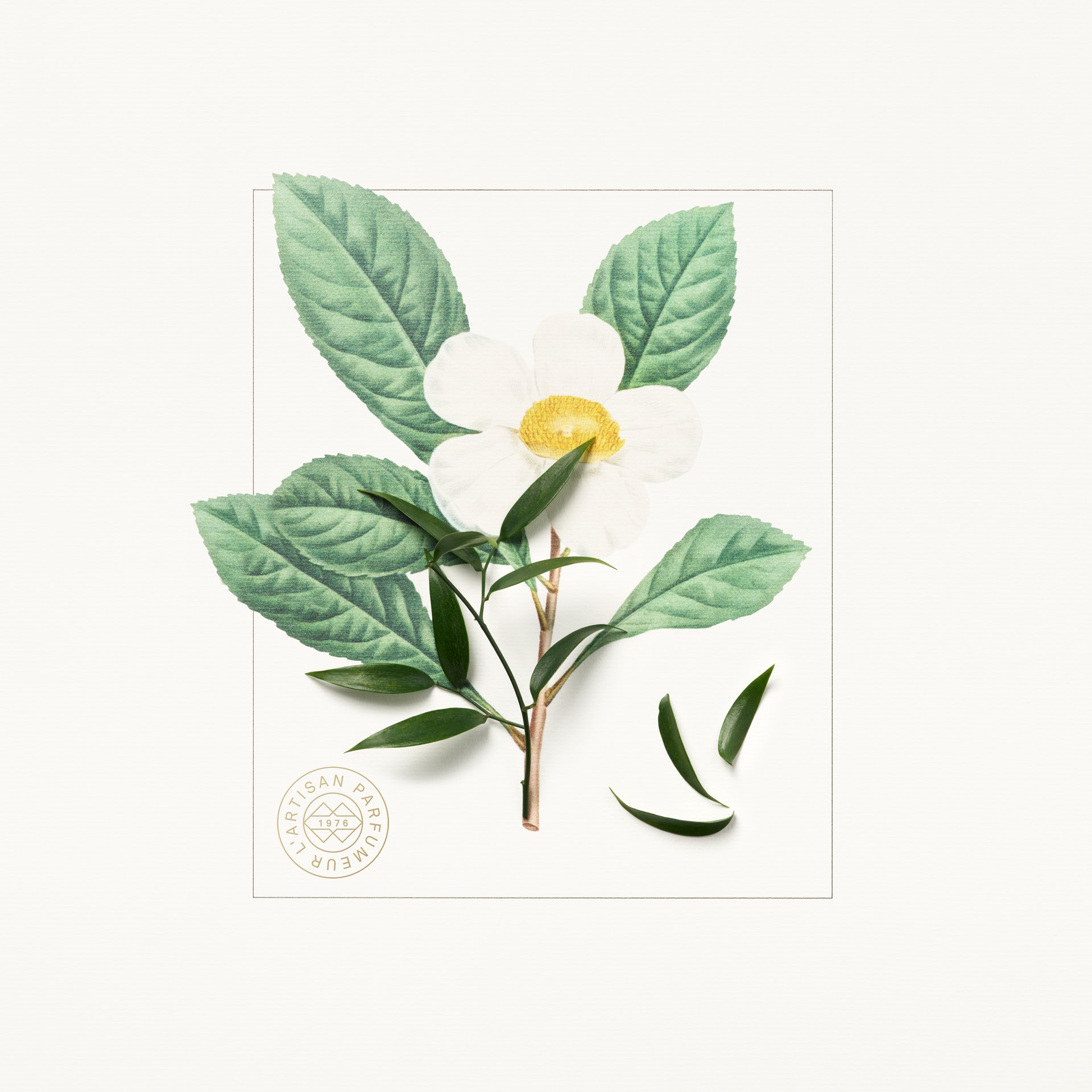 mate-keyingredient-UK